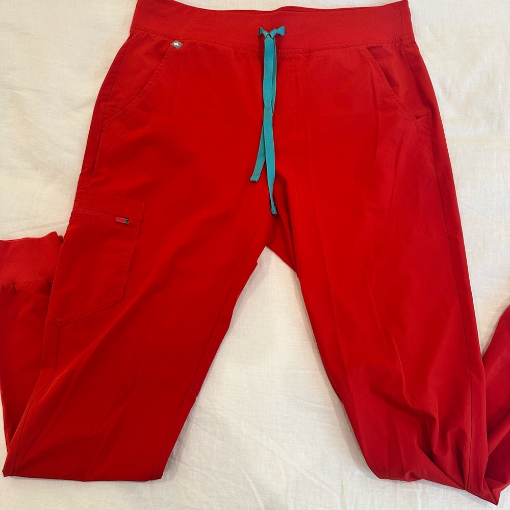 Figs Zamora jogger scrub bottoms medium tall in FIONLITE